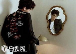 李易峰完整版爆料视频,揭秘明星幕后生活与心路历程  第1张